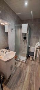 a bathroom with a shower and a sink and a toilet at Hotel Valérie in Montgenèvre