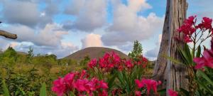 Üldine mäevaade või majutusasutusest Cute Easter Island Cabana - MaoriTea with free airport transport & Starlink wifi pildistatud vaade