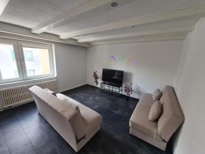 sala de estar con 2 sofás y TV de pantalla plana en Theox No 10 für 6 Personen, en Duisburg