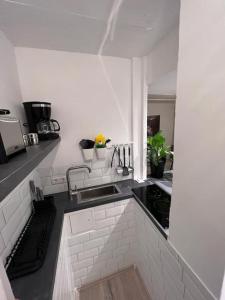 uma cozinha branca com um lavatório e um balcão em Bergische Idylle mit Sauna em Wermelskirchen