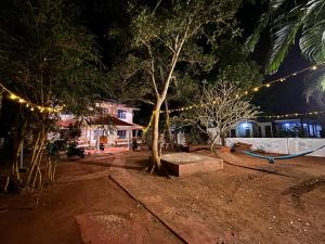 Barefoot Hostels, Varkala外面的花园