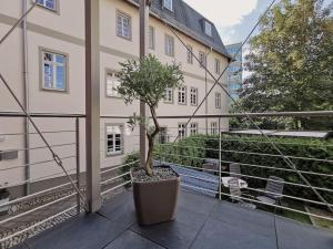 a potted tree on the balcony of a building at Komfortables Apartment im Zentrum Erfurts in Erfurt