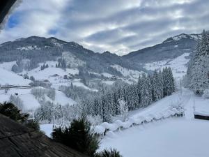 Príroda v okolí apartmánu