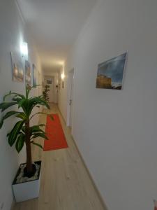 a hallway with a potted plant in a room at Nazaré Holidays in Nazaré