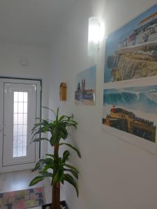 uma planta num quarto com imagens na parede em Nazaré Holidays em Nazaré