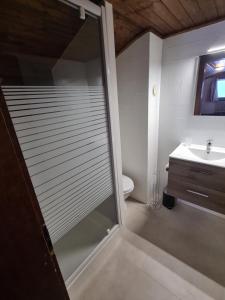 W łazience znajduje się prysznic i umywalka. w obiekcie Auberge de l'Ours w mieście Les Collons