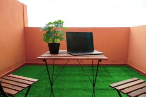 um laptop sobre uma mesa com uma planta potted sobre ele em Casa Morales em Igueste