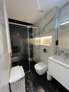 a bathroom with a shower and a toilet and a sink at Refugio alpino a 5 min de pistas in Encamp