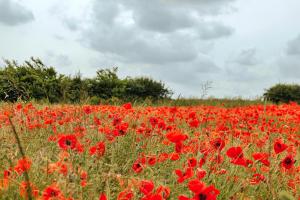 Afbeelding uit fotogalerij van Finest Retreats - Owls Nest in Little Walsingham