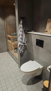 uma casa de banho com um WC e um chuveiro em LuxLapland Cranberry Levi em Levi