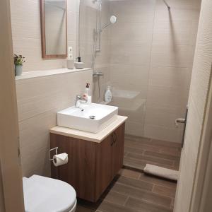 a bathroom with a sink and a toilet and a shower at Mamacita stúdió apartman in Győrújbarát