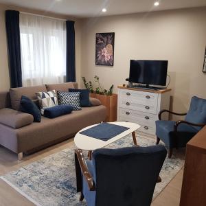 a living room with a couch and a tv at Mamacita stúdió apartman in Győrújbarát