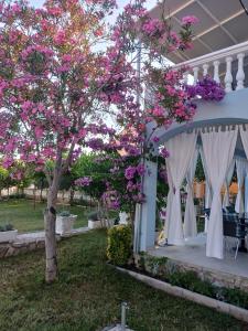uma cerimónia de casamento debaixo de uma árvore com flores cor-de-rosa em Villa Pera Apartment Klein em Vodice