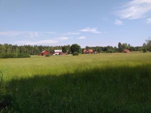 a field of green grass with houses in the background at Lotta´s Cottage in Rimbo