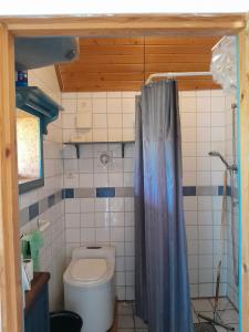a bathroom with a toilet and a shower curtain at Lotta´s Cottage in Rimbo