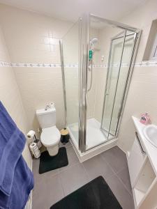 a bathroom with a shower and a toilet and a sink at Stunning Studio Garden House - Free Wifi & Parking in Hendon