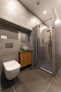 een badkamer met een toilet, een douche en een wastafel bij Château de Bussolles in Barrais-Bussolles