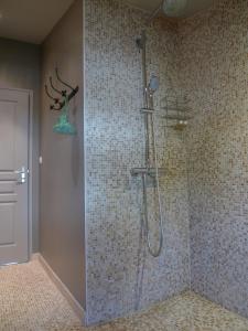 een badkamer met een douche en een glazen deur bij Gite Nuance in Saint-Aignan