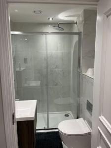 een badkamer met een douche, een toilet en een wastafel bij 1 Bed Flat in Burton