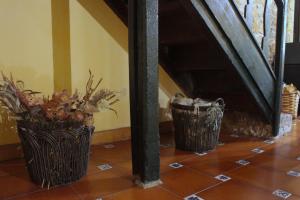 dos jarrones con plantas en el suelo en Casa Rural La Collada, en Sorribas