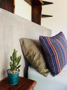 a couch with a pillow and a cactus on a table at Agora at Playa Maderas - Surf House, Cabanas and Casitas in El Plantel