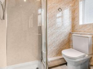 a bathroom with a toilet and a shower at Cobblers Flat in Llanidloes