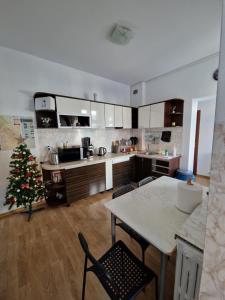 una cocina con un árbol de Navidad en el medio en Hostel Andrei, en Iaşi