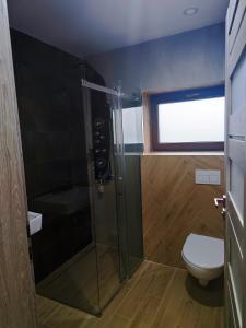 a bathroom with a shower and a toilet at Chalety Bystrá in Bystrá