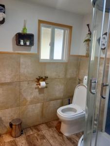 a bathroom with a toilet and a window at Habitaciones Punto Medio 1 in Puerto Varas