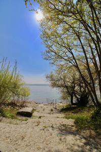 una spiaggia con panchina, alberi e acqua di Strandweg a Überlingen Altre 3 foto