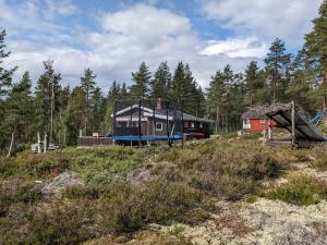 a house in the middle of a field with trees at Turibu - cabin in a nice hiking and skiing area in Kongsberg