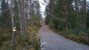 a dirt road leading to a cabin in the woods at Turibu - cabin in a nice hiking and skiing area in Kongsberg