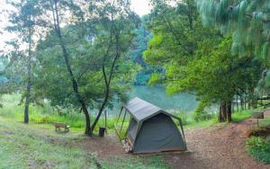 Silver Mist Resort في هانيرتسبورغ: خيمة ومقعد بجانب البحيرة