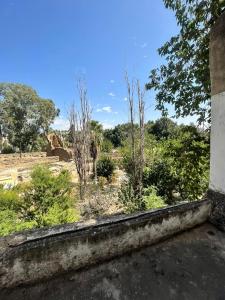 vistas al jardín desde las ruinas de un edificio en HÔTEL DU PARC, en Fez