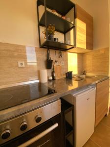 Η κουζίνα ή μικρή κουζίνα στο Apartman Minja Trebinje
