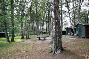 a park with a picnic table and a tree at Bungalow MEER ODER WENIGER direkt am Strand in Dranske