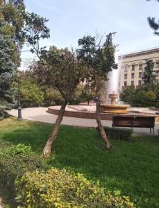 un parco con fontana e panchina nell'erba di Однокомнатная квартира в центре города, Панфилова 80, Алматы a Almaty