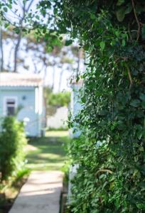 Imagen de la galería de Koru Homes, en Punta del Diablo 35 fotos más