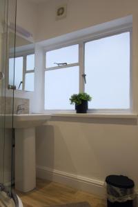a bathroom with a sink and a window at Studio apartment - The Topaz 