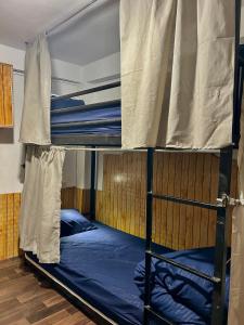 a couple of bunk beds in a room at Tiny Spot Hostel in Manāli