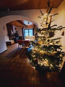een kerstboom in het midden van een woonkamer bij Les Grands Chais in Ortho