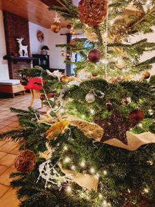 een kerstboom met decoraties erop in een kamer bij Les Grands Chais in Ortho