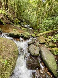 Casa Portal Sagrado Matutu- Aiuruoca MG في أيوريوكا: تيار ماء مع صخور في غابة