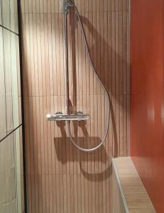 a shower in a bathroom with a hose on the wall at Holiday Loft 58 in Arbois