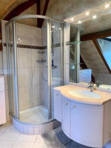 uma casa de banho com um chuveiro e um lavatório. em Les Longères de Belle Vue - à 30' du Parc de Loisir du PAL em Bourbon-Lancy