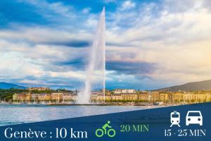 a fountain in the water in front of a city at VELVET - Proche Genève - Au pied du Tram - Wifi Gratuit in Ambilly