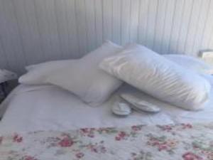 Una cama con dos almohadas y dos zapatos. en White Jacaranda Tiny House en Maleny