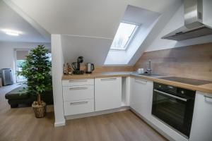 High-quality renovated apt (TLA/Tlf/TDY-RAB) 주방 또는 간이 주방