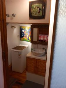 ein kleines Bad mit einem Waschbecken und einem WC in der Unterkunft Charmant gîte avec parking gratuit sur place. in Davézieux
