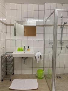 Koupelna v ubytování Appartement Lukas